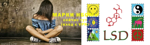 круглые Алзамай