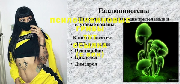 сатива Алексин