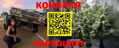 прущие крисы Донецк