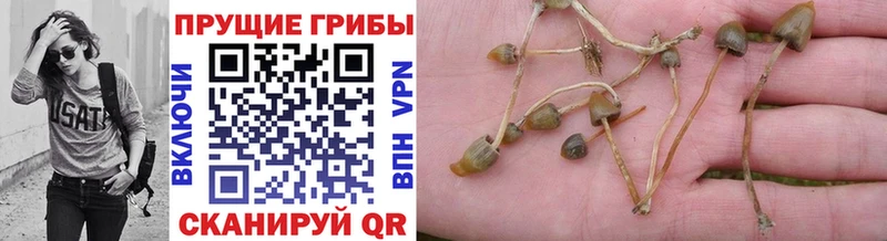 цена наркотик  это формула  Галлюциногенные грибы мухоморы  Симферополь 