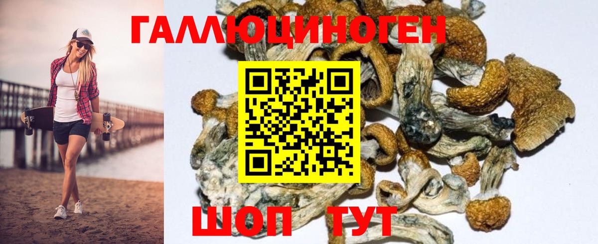 Псилоцибиновые грибы Psilocybe Симферополь