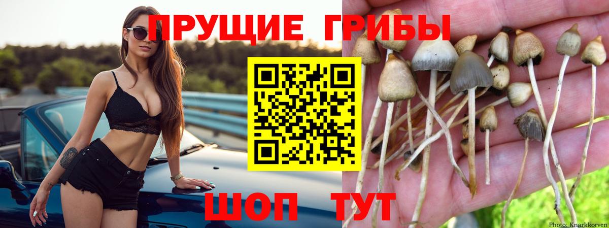 наркотики  Вход с VPN  Симферополь  Псилоцибиновые грибы ЛСД 
